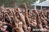 Photos: Download Sydney - Parramatta Park - 9 March, 2019