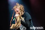 Photos: Download Sydney - Parramatta Park - 9 March, 2019