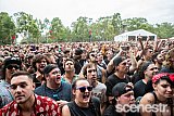 Photos: Download Sydney - Parramatta Park - 9 March, 2019