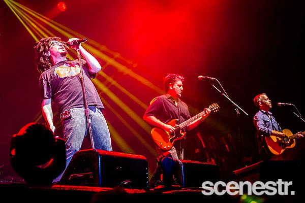 Photos: Bluesfest 2015 - Bands - 2-6 April, 2015