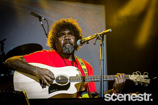Photos: Bluesfest 2015 - Bands - 2-6 April, 2015