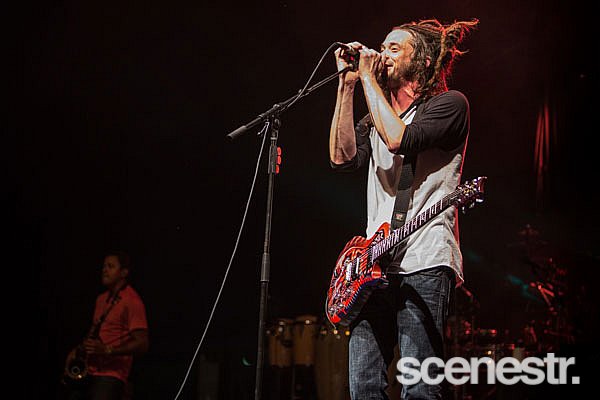 Photos: Bluesfest 2015 - Bands - 2-6 April, 2015