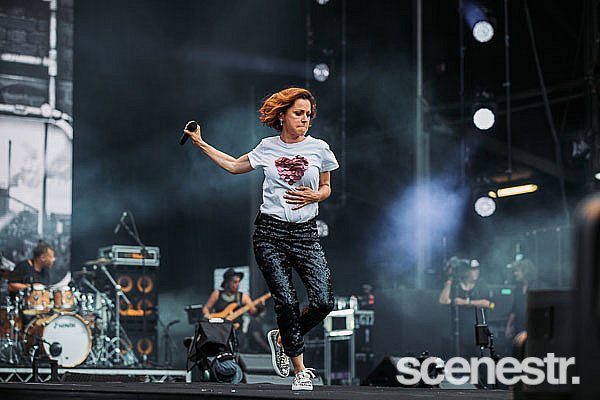 Photos: Fire Fight Australia - ANZ Stadium, Sydney - 16 February, 2020