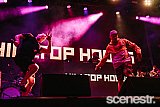 Photos: Falls Festival Day Two - North Byron Parklands - 1 January, 2019