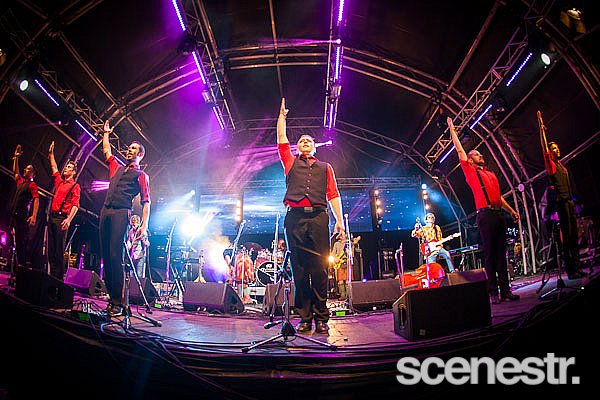 Photos: Woodford Folk Festival 2013-14 - Woodfordia - Artists