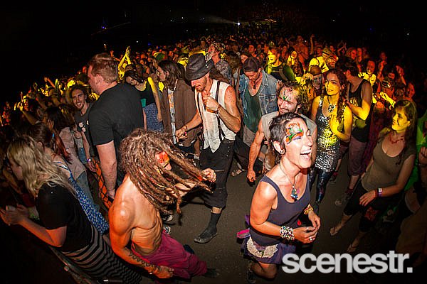 Photos: Woodford Folk Festival 2013-14 - Woodfordia - Artists