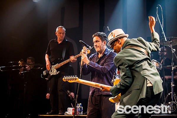 Photos: The Specials - The Tivoli Theatre, Brisbane - 15 March, 2017