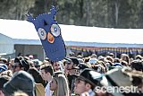 Photos: Yours & Owls Festival Day Two - Stuart Park, Wollongong - 1 October, 2017