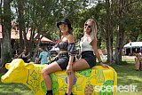 Photos: Falls Festival Byron - Day One - 31 December, 2017