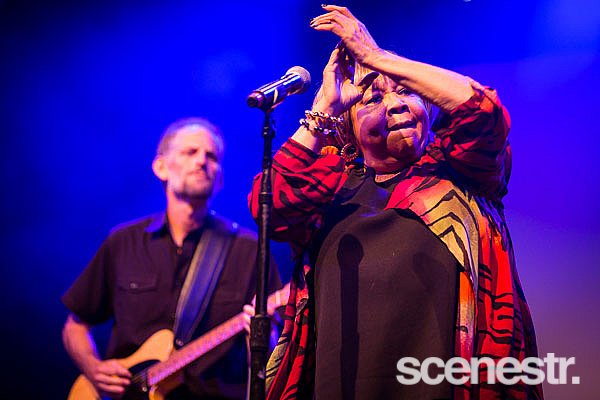 Photos: Bluesfest 2015 - Bands Part 2 - 2-6 April, 2015