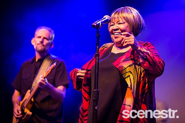 Photos: Bluesfest 2015 - Bands Part 2 - 2-6 April, 2015