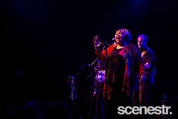 Photos: Bluesfest 2015 - Bands Part 2 - 2-6 April, 2015
