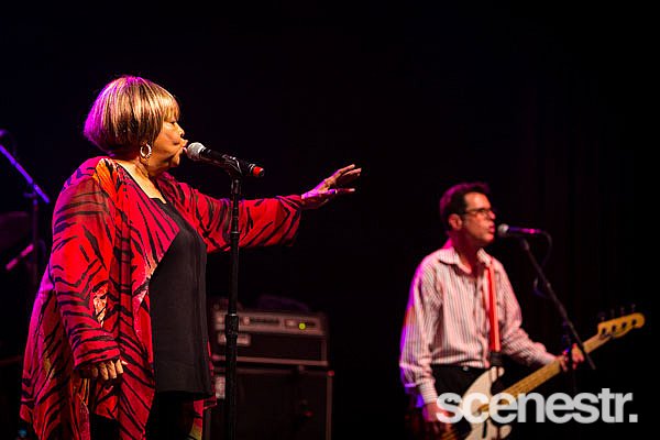 Photos: Bluesfest 2015 - Bands Part 2 - 2-6 April, 2015