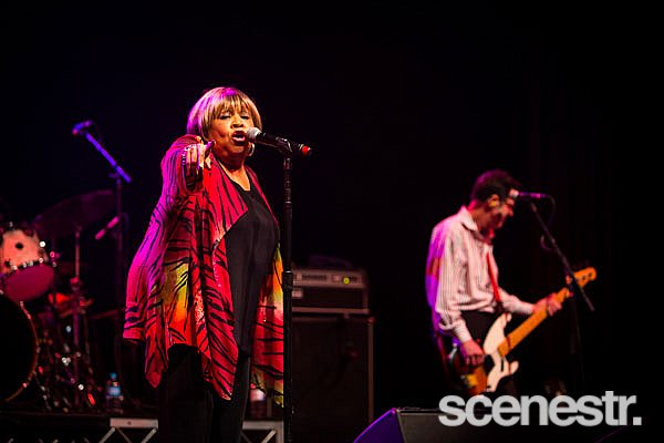 Photos: Bluesfest 2015 - Bands Part 2 - 2-6 April, 2015