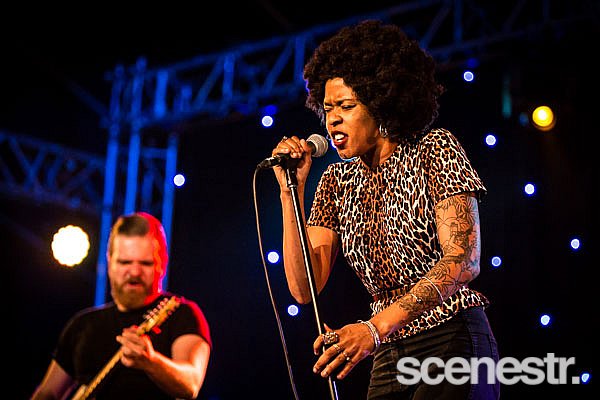 Photos: Bluesfest 2015 - Bands Part 2 - 2-6 April, 2015