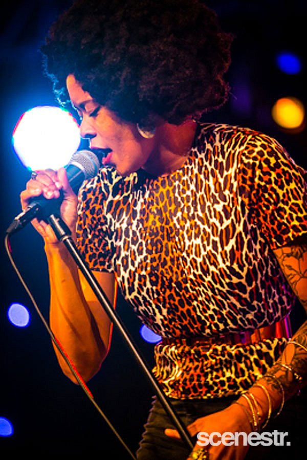 Photos: Bluesfest 2015 - Bands Part 2 - 2-6 April, 2015