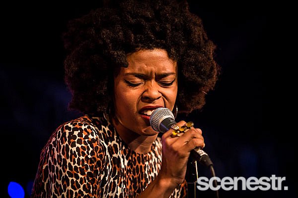Photos: Bluesfest 2015 - Bands Part 2 - 2-6 April, 2015