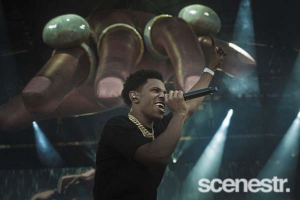 Photos: FOMO 2020 - Melbourne Showgrounds - 12 January, 2020