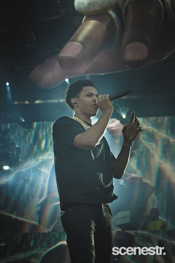 Photos: FOMO 2020 - Melbourne Showgrounds - 12 January, 2020