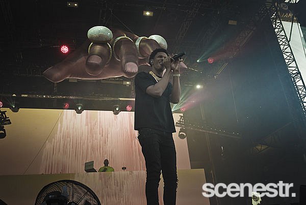 Photos: FOMO 2020 - Melbourne Showgrounds - 12 January, 2020