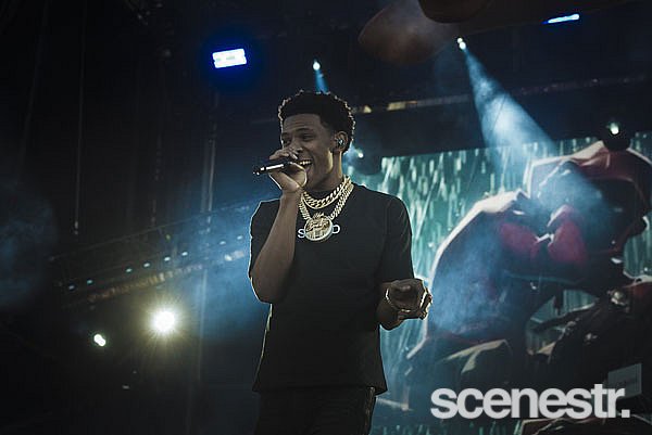 Photos: FOMO 2020 - Melbourne Showgrounds - 12 January, 2020