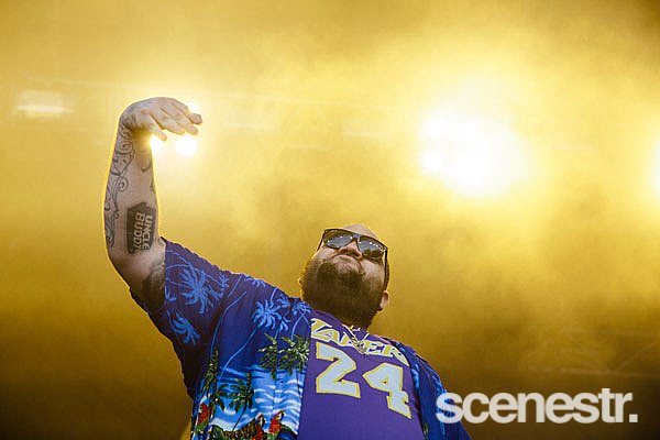 Photos: Laneway 2017 - Sydney College of the Arts - 4 February, 2017