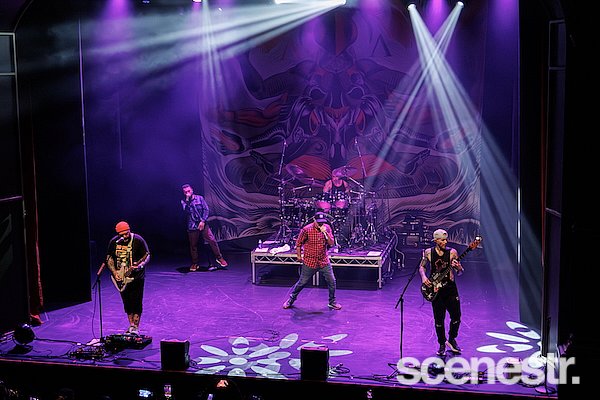 Photos: Alien Ant Farm - The Princess Theatre, Brisbane - 7 February, 2025