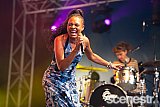 Photos: 2025 Bluesfest Artists - Byron Bay - 17-20 April, 2025