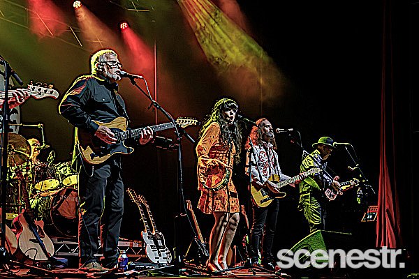 Photos: The Australian Eagles Show - The Princess Theatre, Brisbane - 24 August, 2024