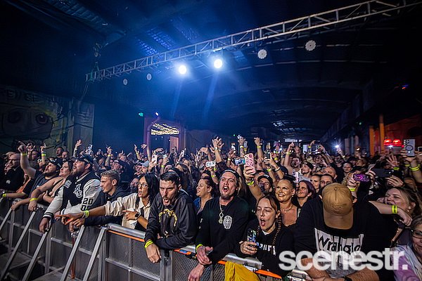 Photos: Bliss n Eso - Miami Marketta, Gold Coast - 31 May, 2025