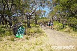 Photos: Falls Festival Day Two - Marion Bay, Tasmania - 30 December, 2015