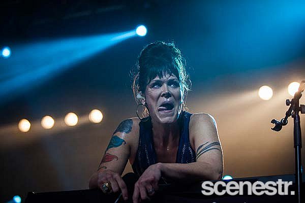 Photos: Bluesfest - Artists - Days 1, 2 + 3 - Byron Bay, 2015