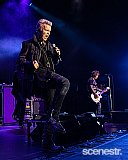 Photos: Billy Idol - The Riverstage, Brisbane - 31 January, 2020