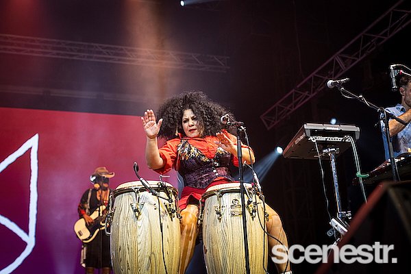 Photos: 2025 Bluesfest Day Three - Byron Bay - 19 April, 2025