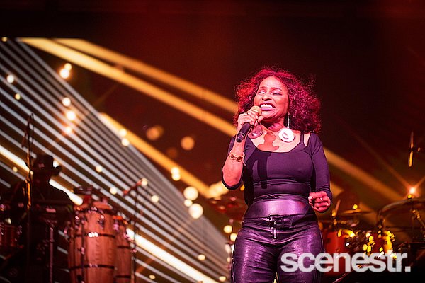 Photos: 2025 Bluesfest Day Four - Byron Bay - 20 April, 2025