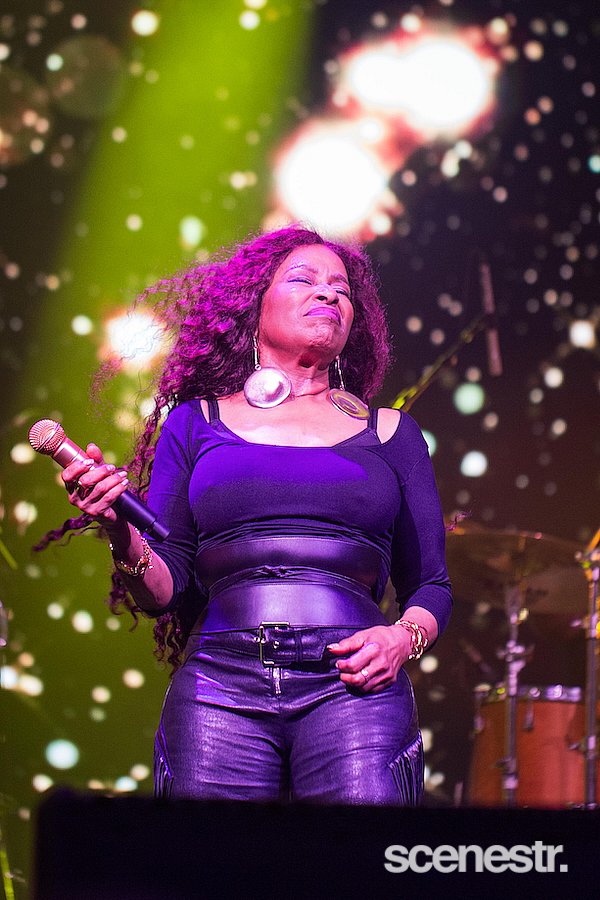 Photos: 2025 Bluesfest Day Four - Byron Bay - 20 April, 2025