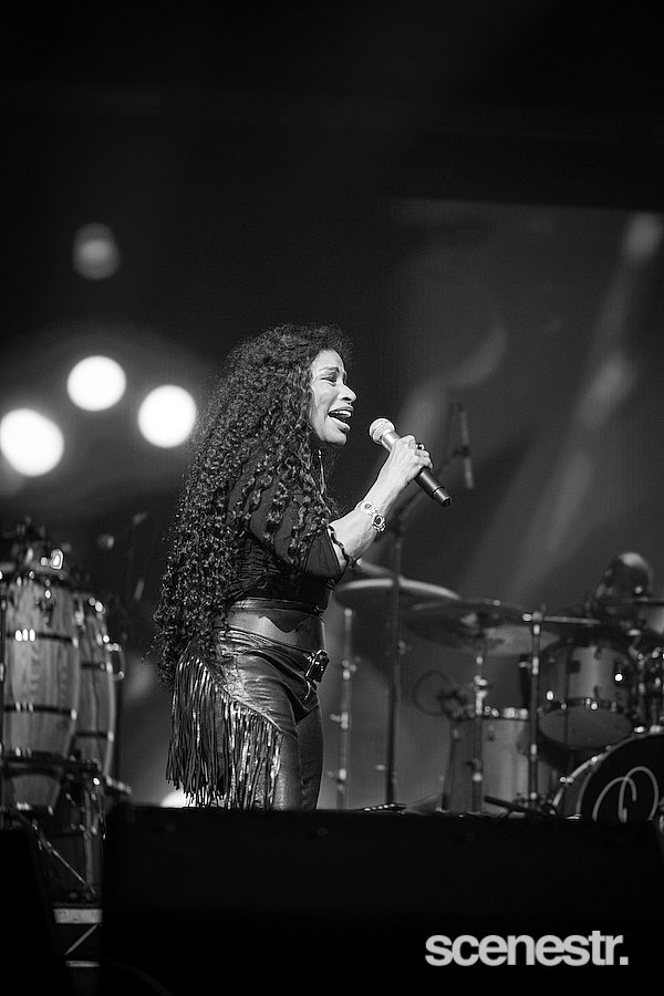 Photos: 2025 Bluesfest Day Four - Byron Bay - 20 April, 2025