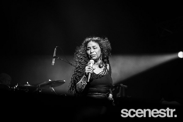 Photos: 2025 Bluesfest Day Four - Byron Bay - 20 April, 2025