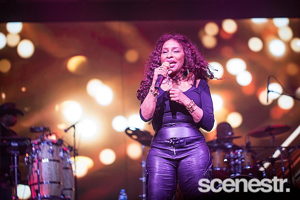 Photos: 2025 Bluesfest Day Four - Byron Bay - 20 April, 2025