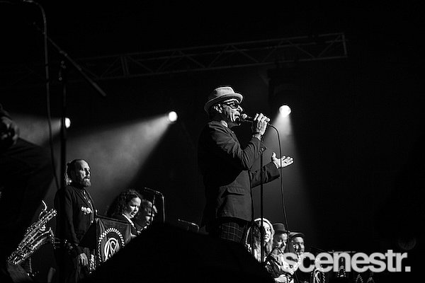 Photos: 2025 Bluesfest Day Three - Byron Bay - 19 April, 2025
