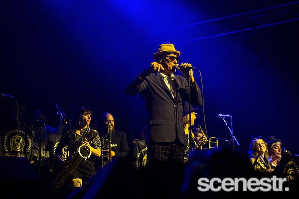 Photos: 2025 Bluesfest Day Three - Byron Bay - 19 April, 2025
