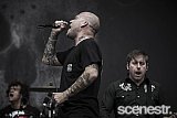 Photos: 2018 Splendour In The Grass Day 1 - North Byron Parklands - 20 July, 2018