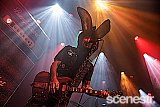 Photos: Bunny Racket - The Tivoli, Brisbane - 2 July, 2024