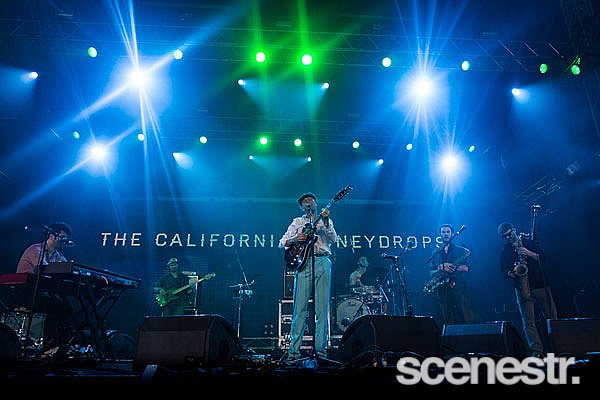 Photos: Bluesfest Day 4 - Tyagarah Tea Tree Farm, Byron Bay - 1 April, 2018