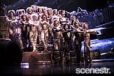 Photos: Cats - Adelaide Festival Centre - 18 March, 2016