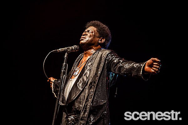 Photos: Bluesfest - Artists - Day 4 & 5 - Byron Bay, 5 & 6 April, 2015