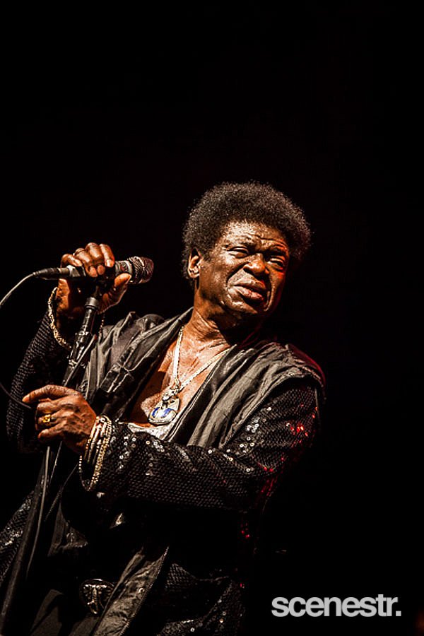 Photos: Bluesfest - Artists - Day 4 & 5 - Byron Bay, 5 & 6 April, 2015
