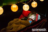Photos: Humans Of Splendour In The Grass - North Byron Parklands - 20-22 July, 2018