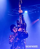 Photos: Custard - The Princess Theatre, Brisbane - 21 December, 2024