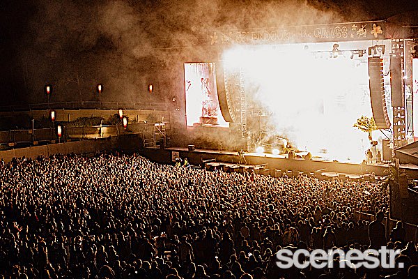 Photos: 2023 Splendour In The Grass Crowd Action - North Byron Parklands - 21-23 July, 2023